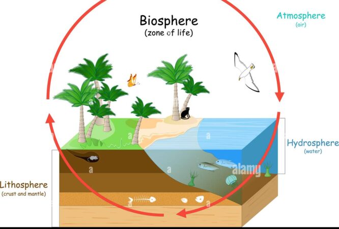 Les écosystèmes et la biosphèrej